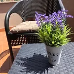 Trilocale Con Terrazza E Garage Дом отдыха *
